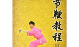 九节鞭教学视频,掌握传统武术精髓的入门指南